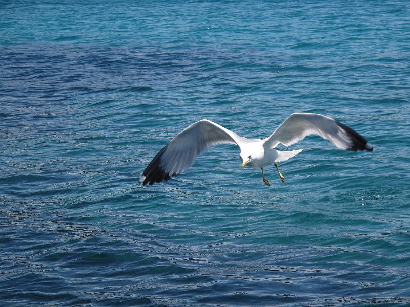 IMG_1232.jpg