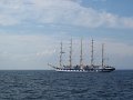 IMG_3534